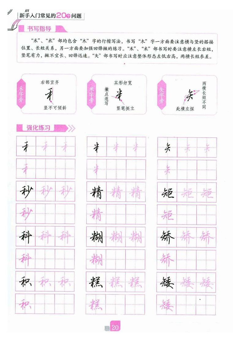 荆霄鹏《新手入门常见的20个问题》行楷