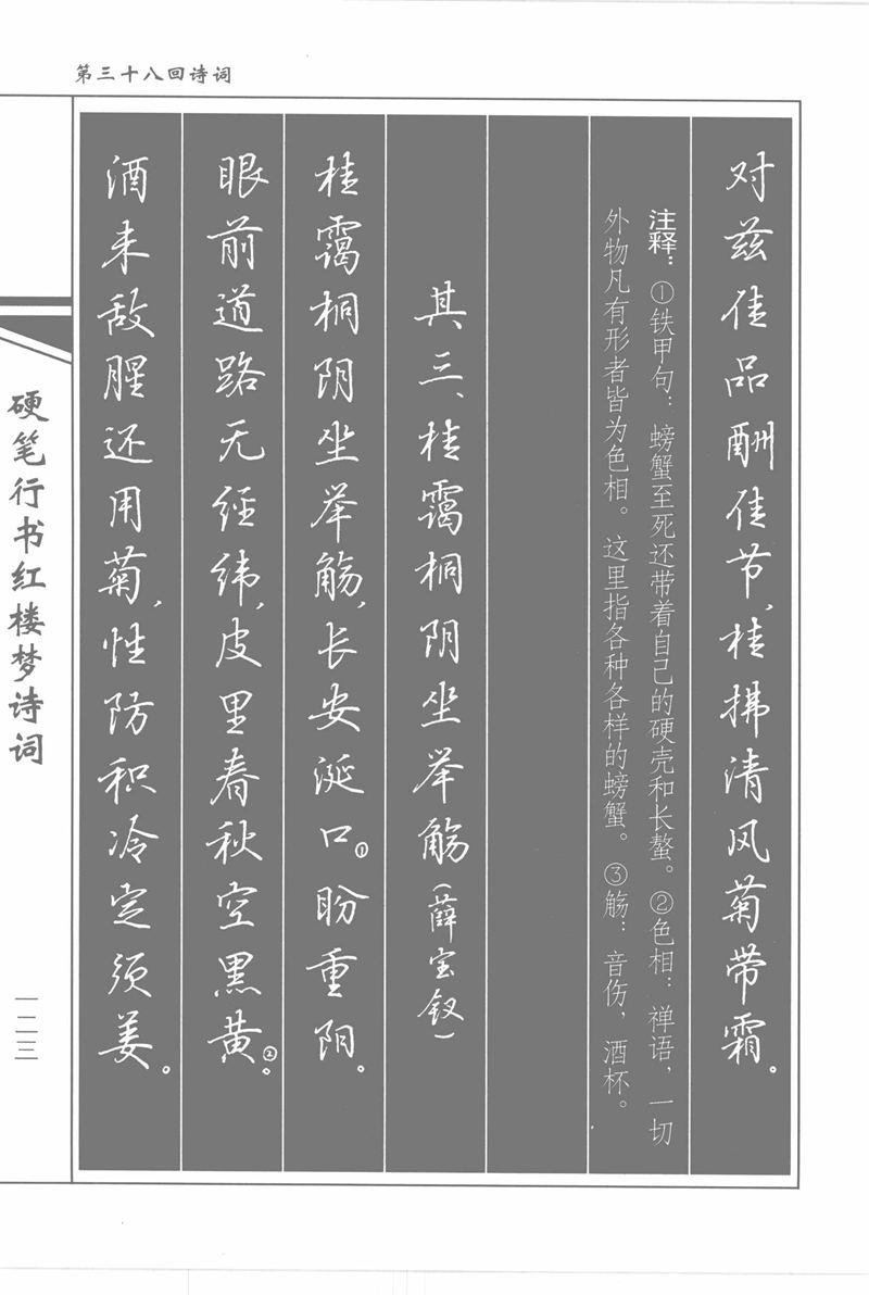 吴玉生硬笔行书红楼梦诗词