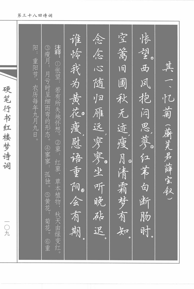 吴玉生硬笔行书红楼梦诗词