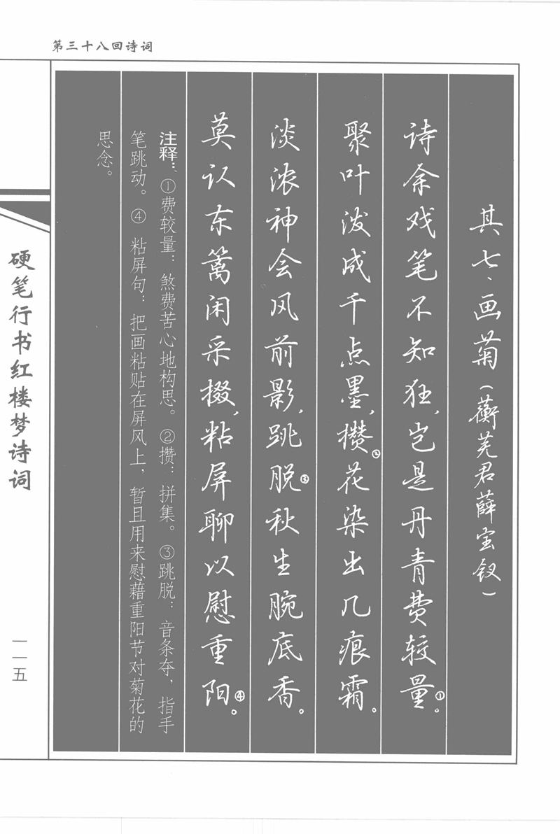 吴玉生硬笔行书红楼梦诗词