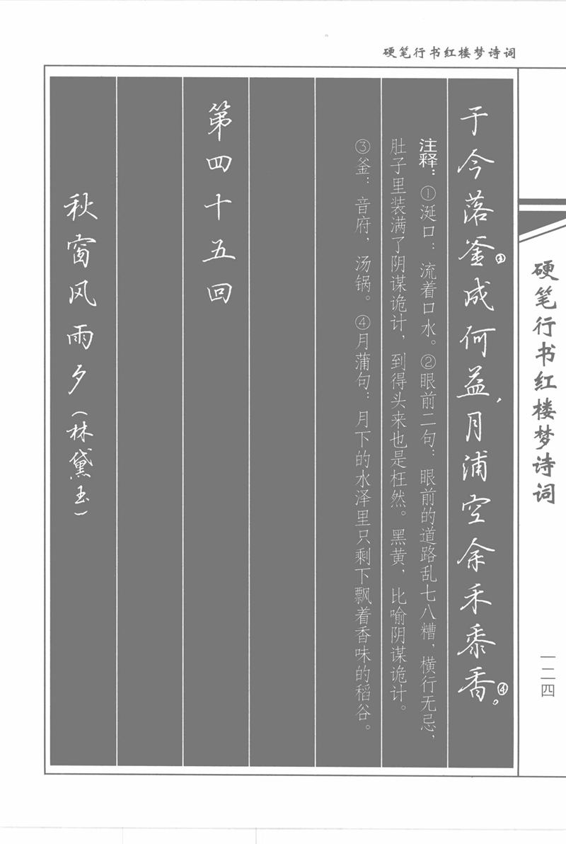 吴玉生硬笔行书红楼梦诗词