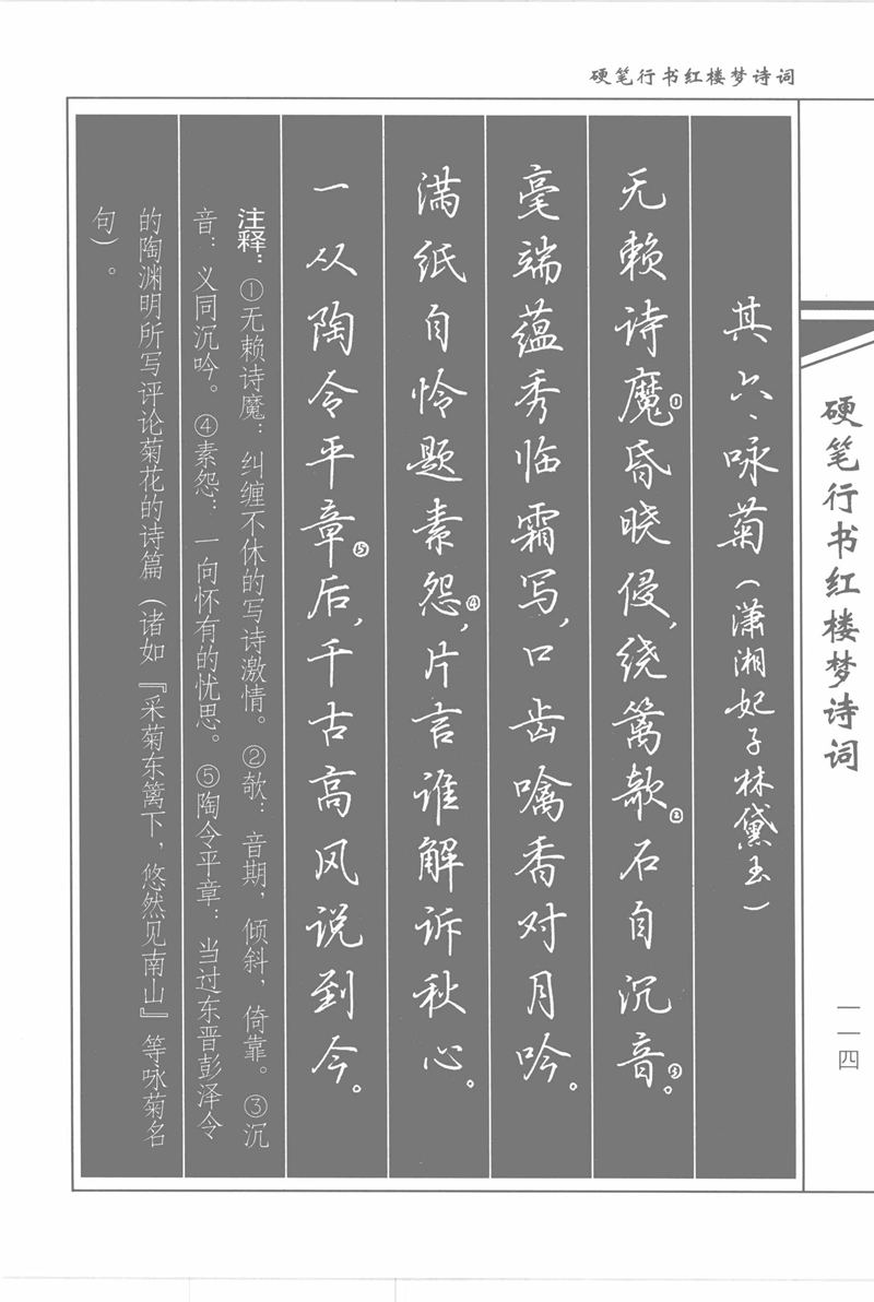 吴玉生硬笔行书红楼梦诗词