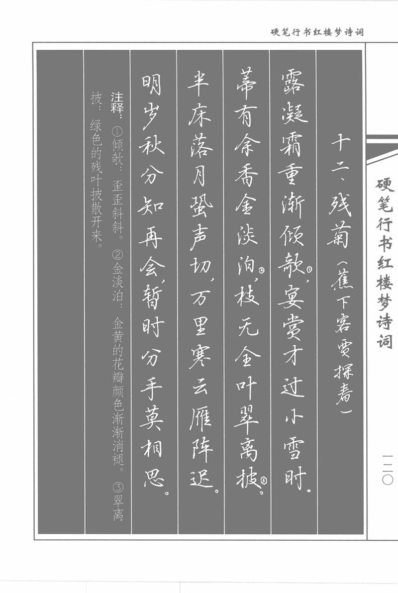 吴玉生硬笔行书红楼梦诗词