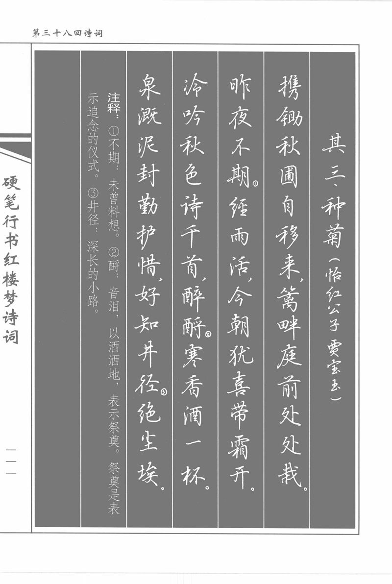 吴玉生硬笔行书红楼梦诗词