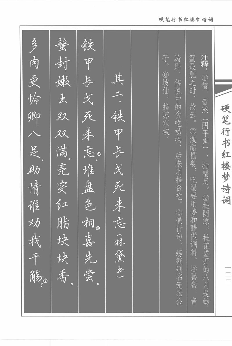 吴玉生硬笔行书红楼梦诗词