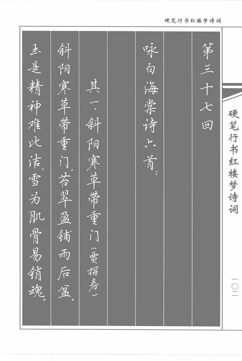 吴玉生硬笔行书红楼梦诗词