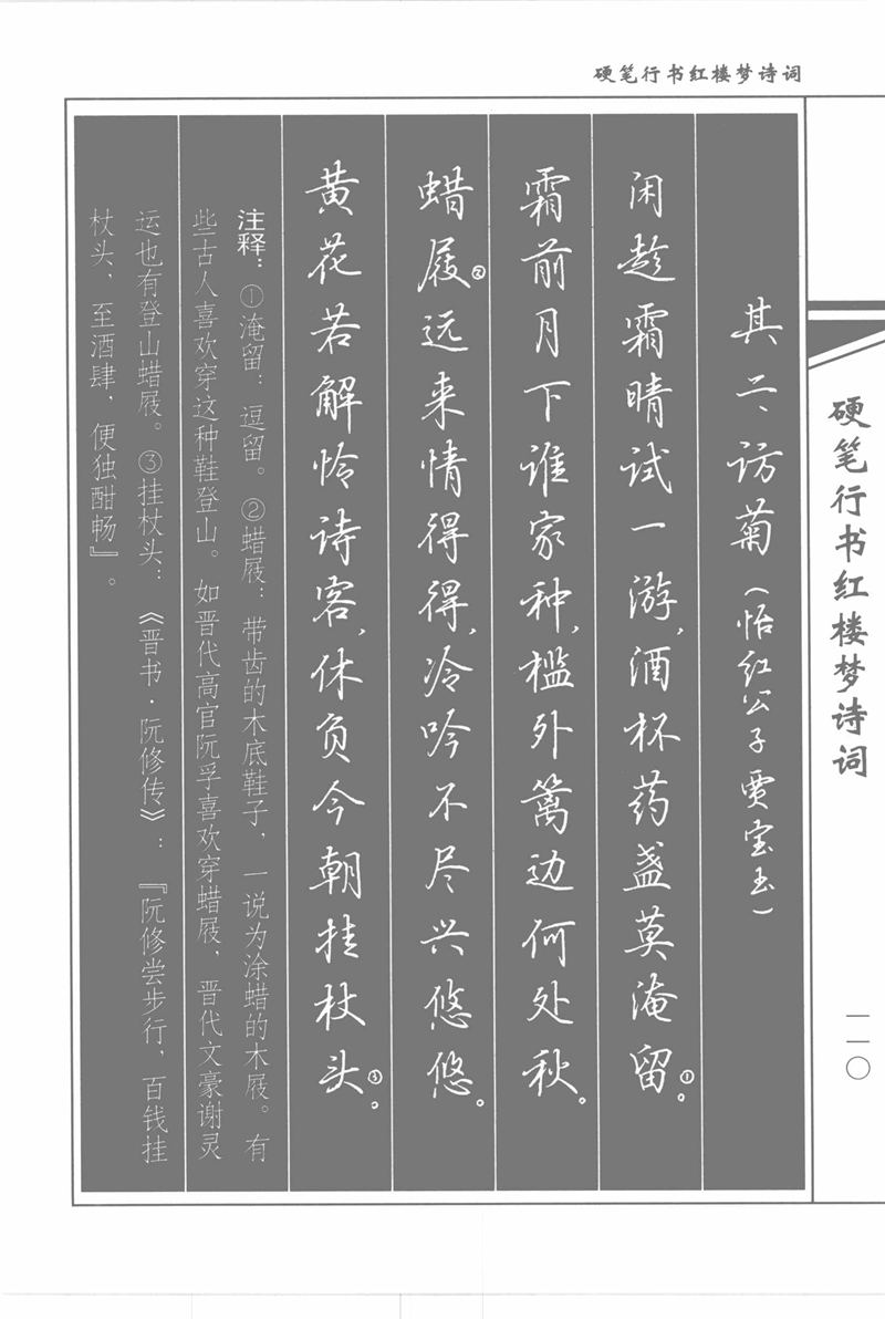 吴玉生硬笔行书红楼梦诗词