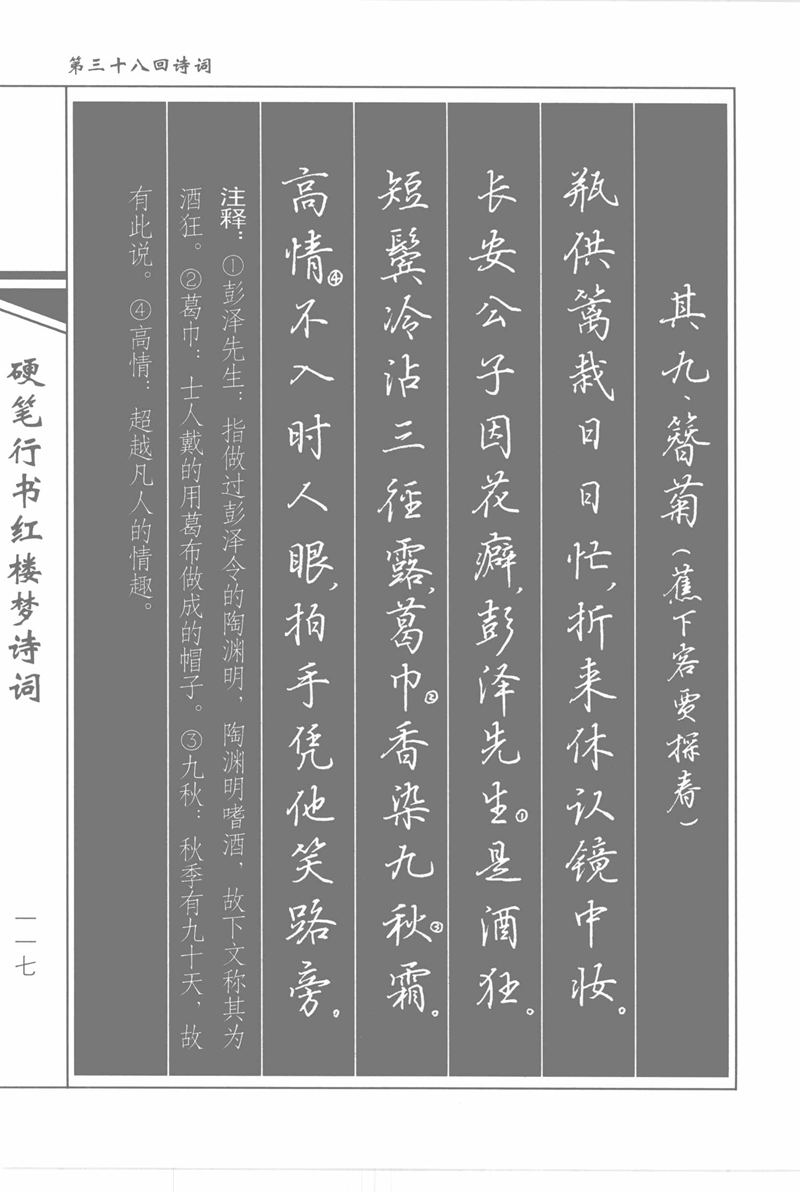 吴玉生硬笔行书红楼梦诗词