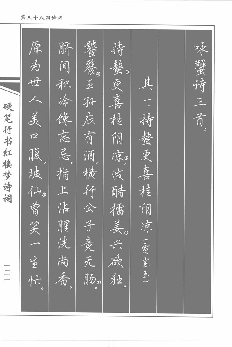 吴玉生硬笔行书红楼梦诗词