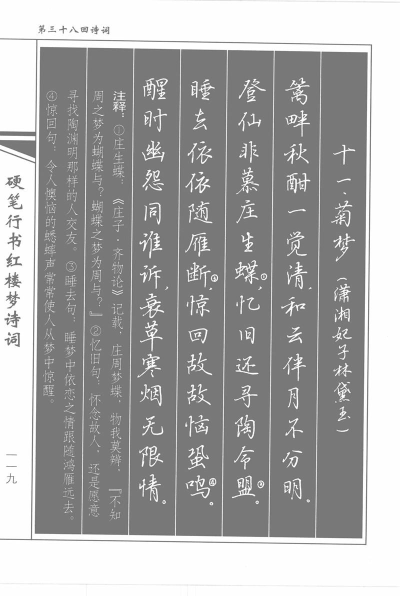 吴玉生硬笔行书红楼梦诗词