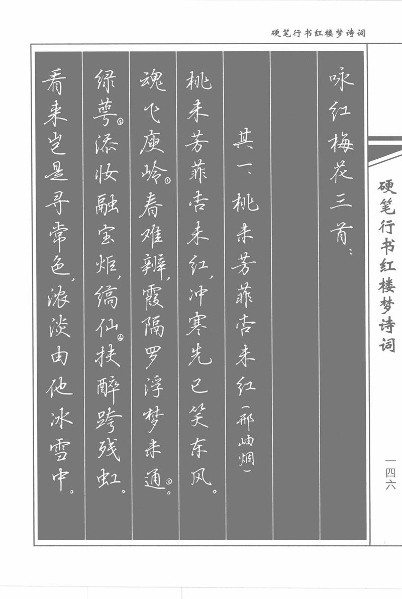 吴玉生硬笔行书红楼梦诗词