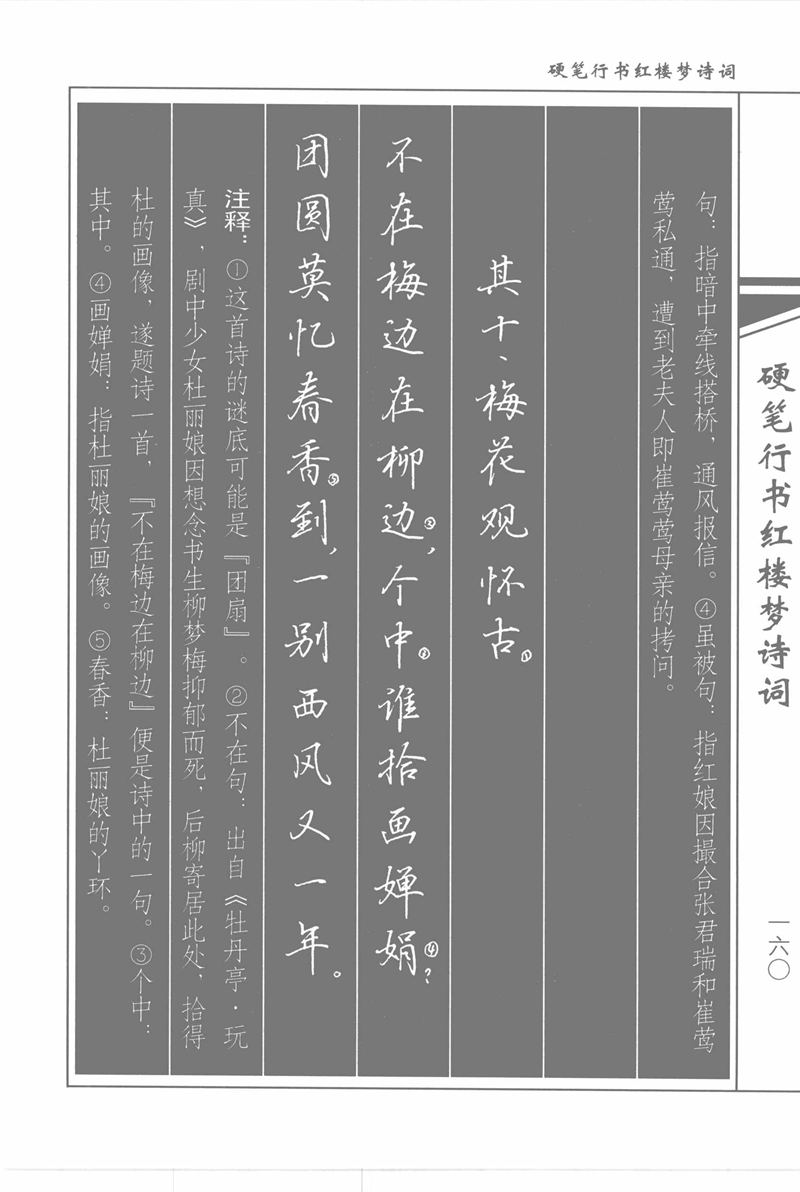 吴玉生硬笔行书红楼梦诗词