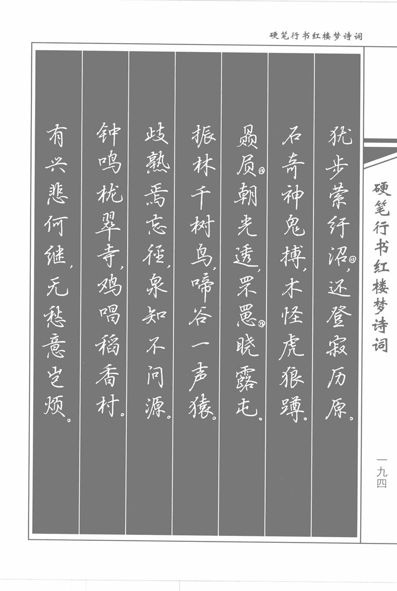 吴玉生硬笔行书红楼梦诗词