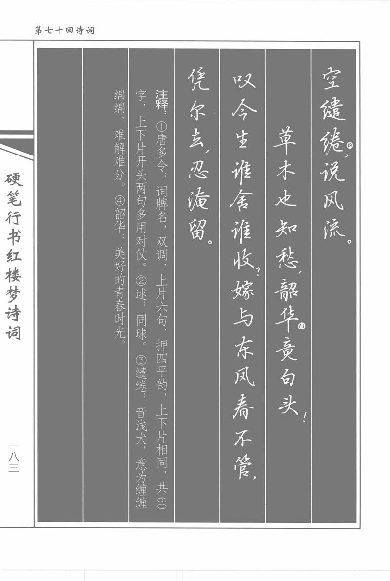 吴玉生硬笔行书红楼梦诗词