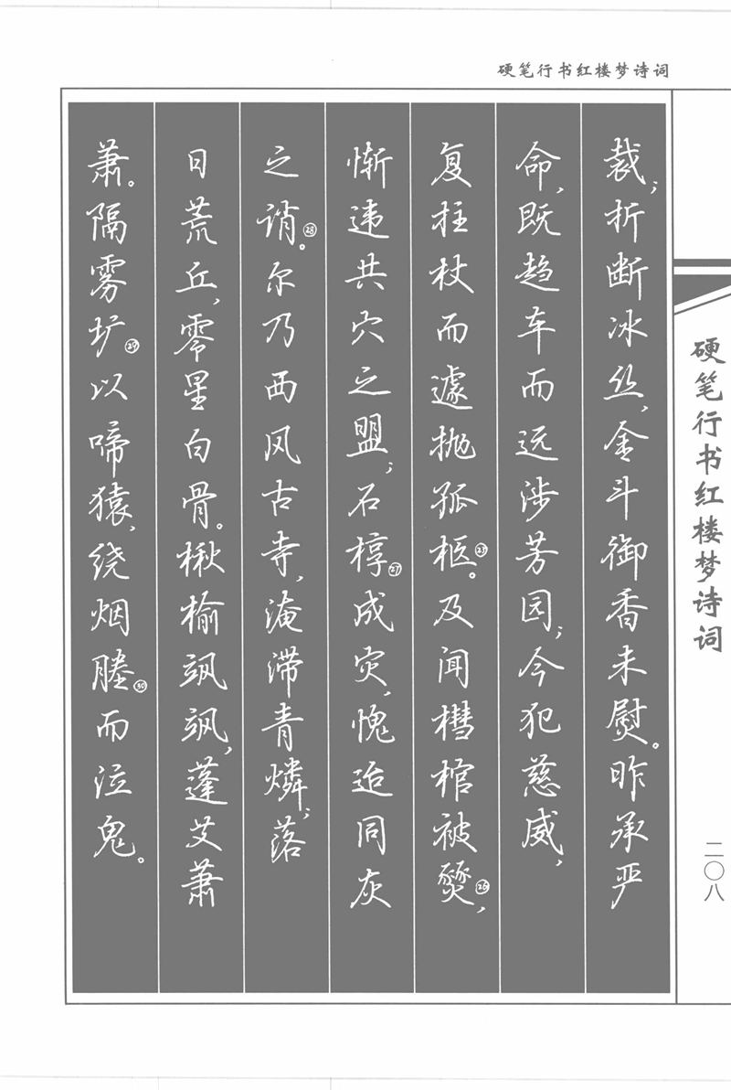 吴玉生硬笔行书红楼梦诗词