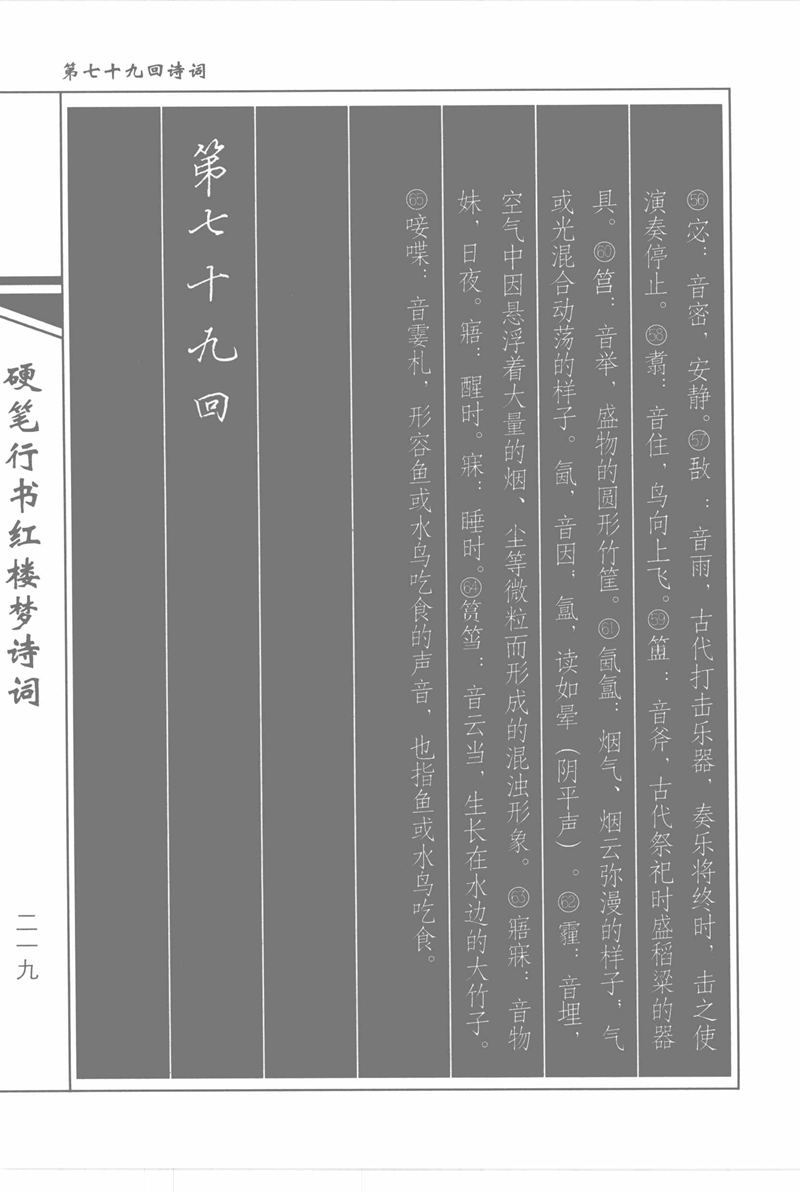 吴玉生硬笔行书红楼梦诗词