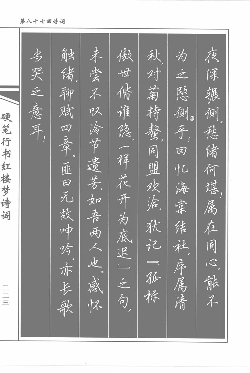 吴玉生硬笔行书红楼梦诗词