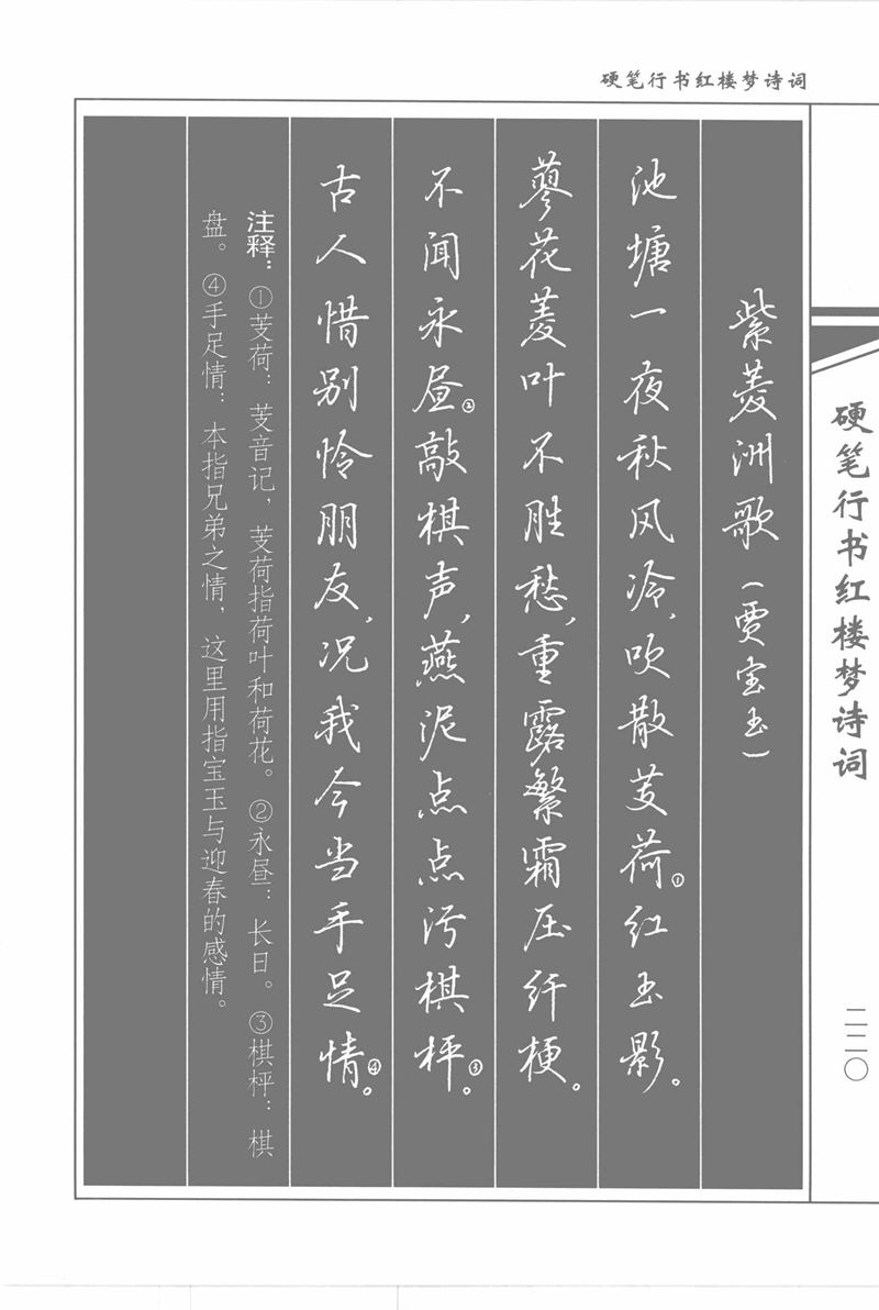 吴玉生硬笔行书红楼梦诗词