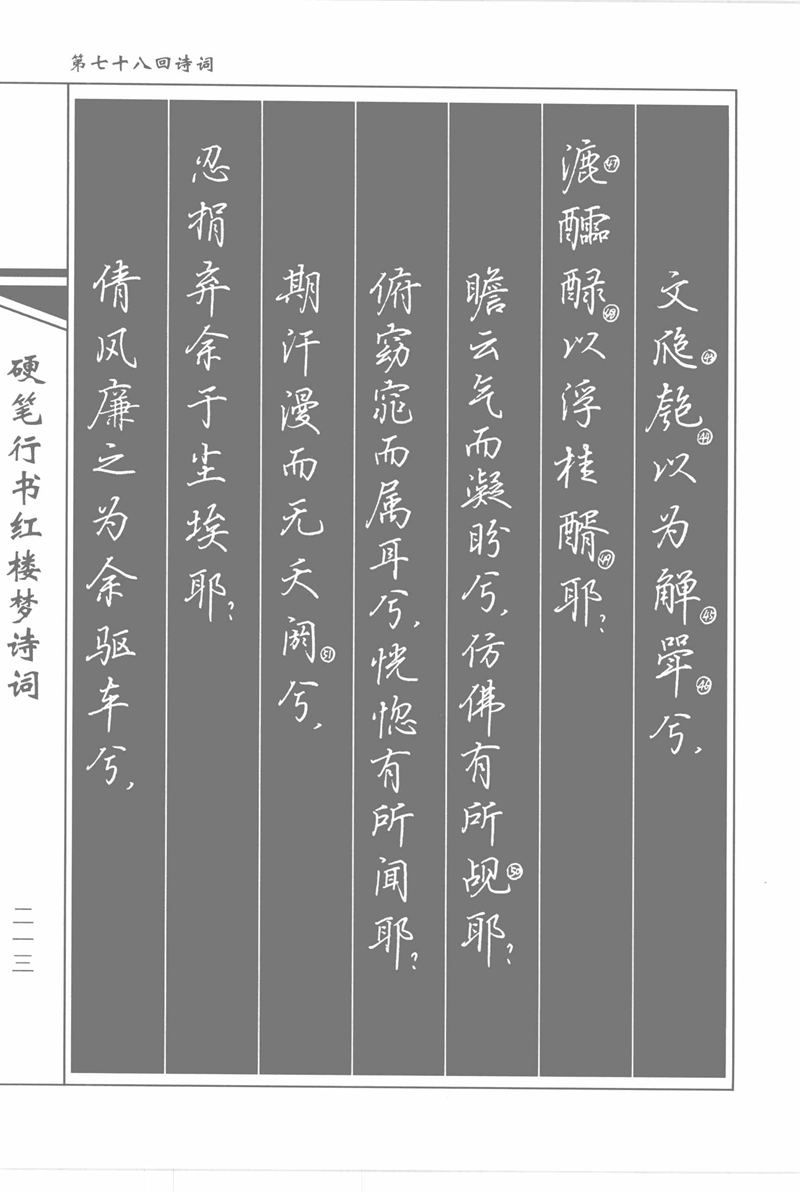 吴玉生硬笔行书红楼梦诗词