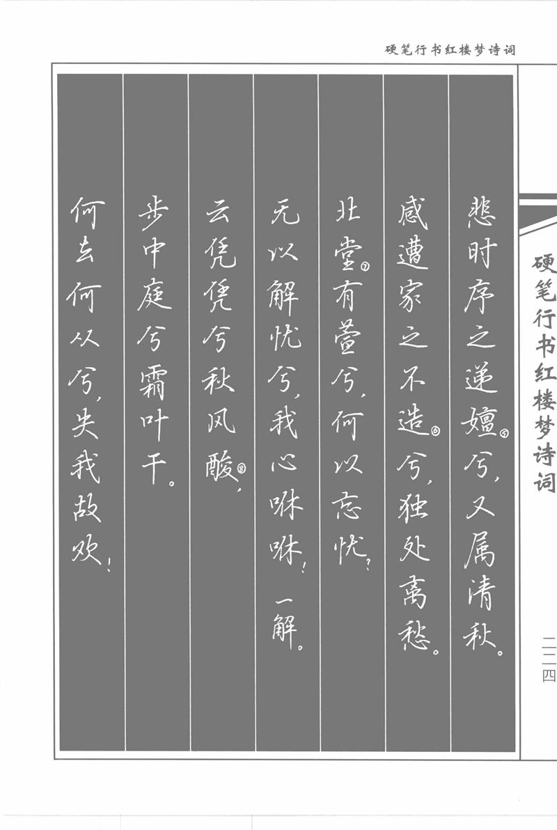 吴玉生硬笔行书红楼梦诗词
