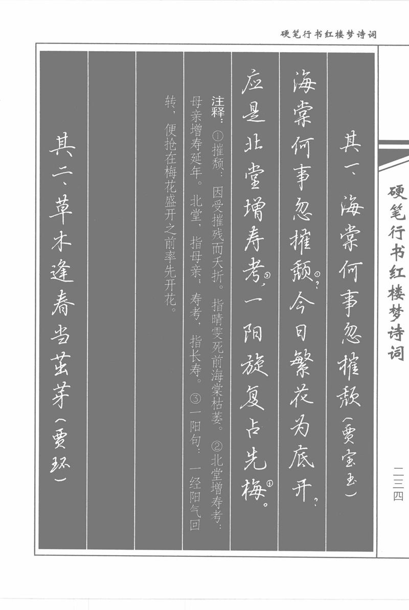 吴玉生硬笔行书红楼梦诗词
