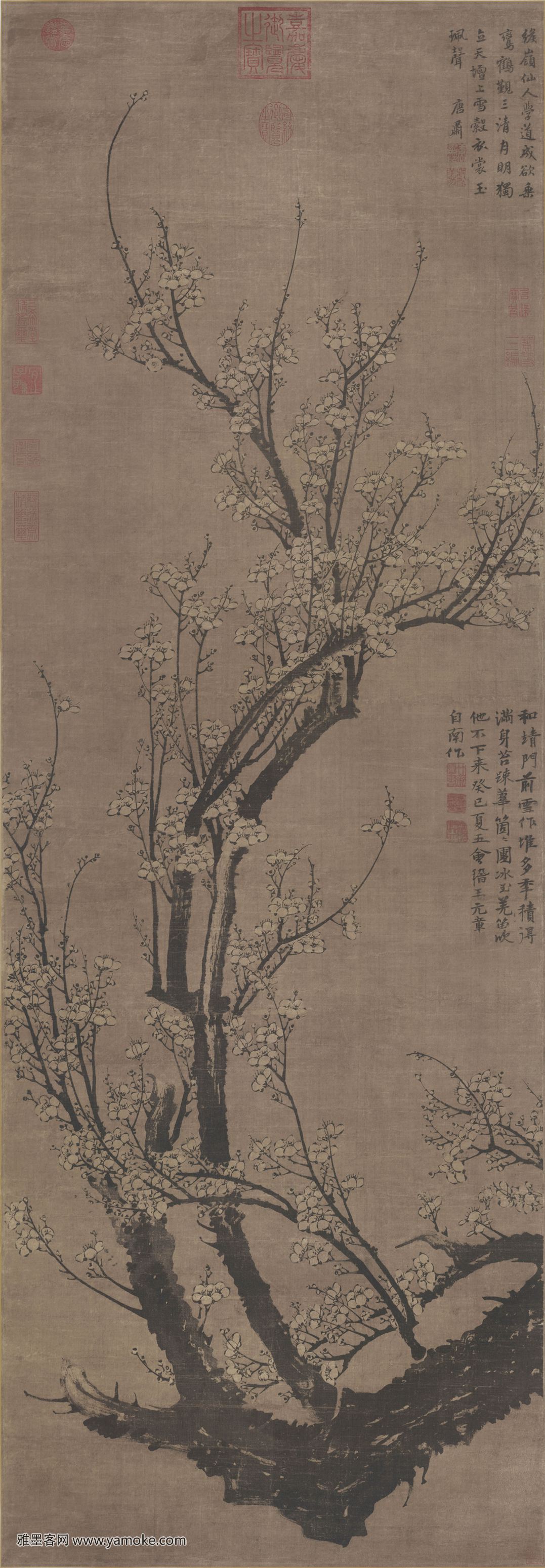 元_王冕_南枝春早图.jpg