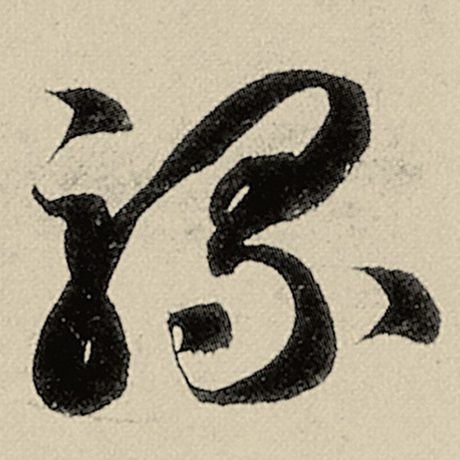 骡