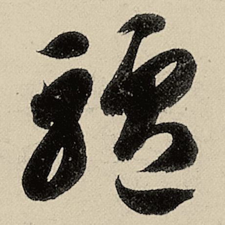 驴