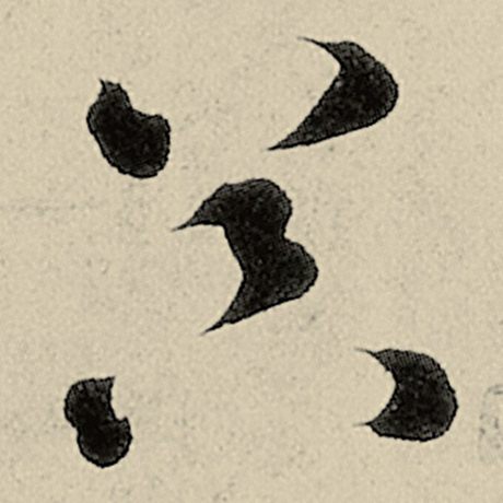 器