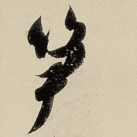 笋
