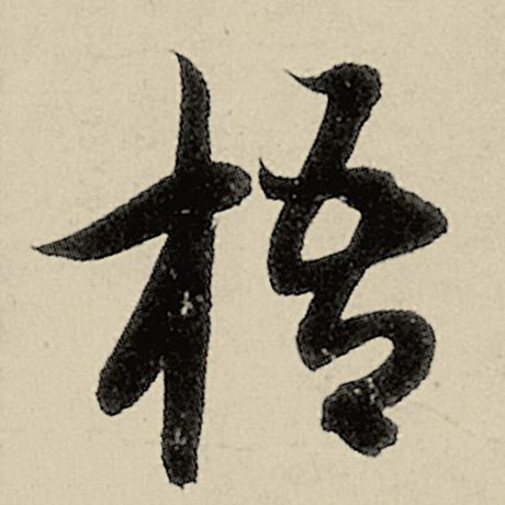 梧