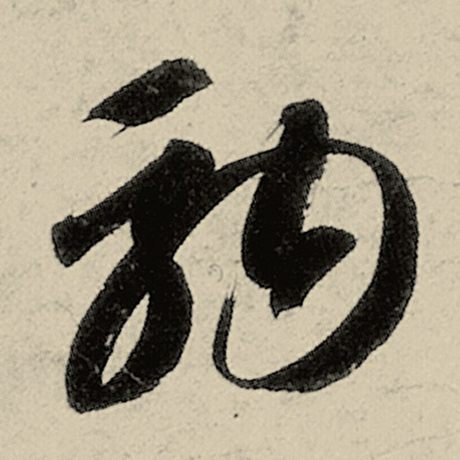 驹