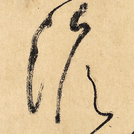澹