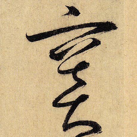 窦