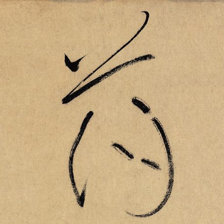 荡