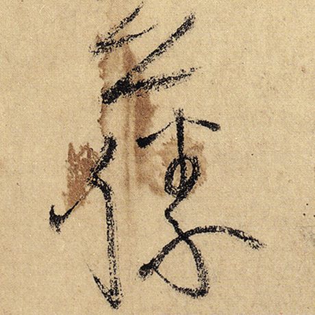 藤