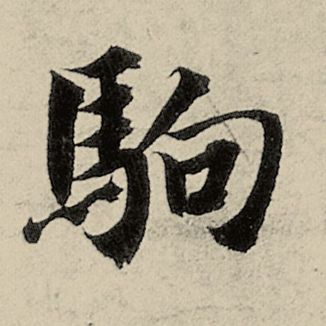 驹