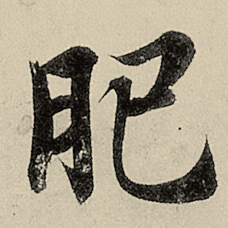 肥