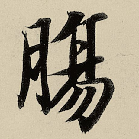 肠