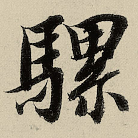 骡