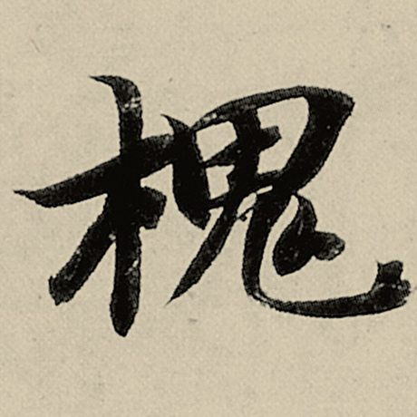 槐