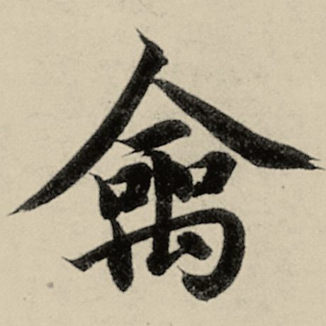 禽