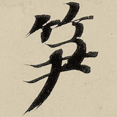 笋