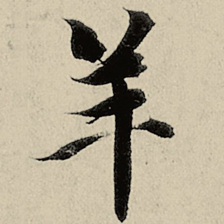 羊