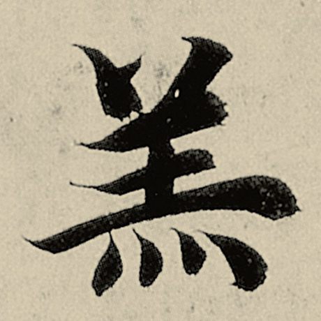 羔