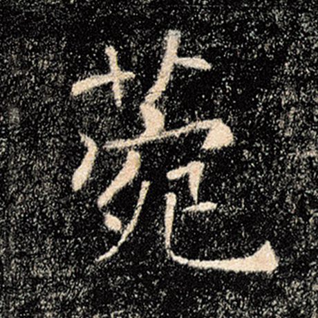 菀