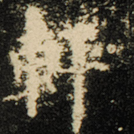 轩