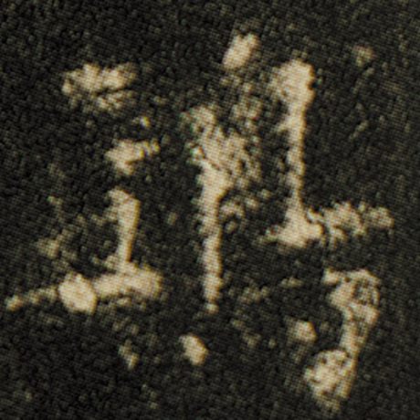 鸱