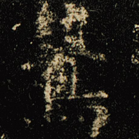 鸷