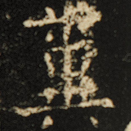 粪